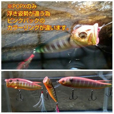 画像5: 数量限定！メガバス/POPX”Pink Bomb Gill ピンクボムギル”リミテッドカラー