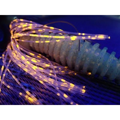 UVライトを当てた画像です