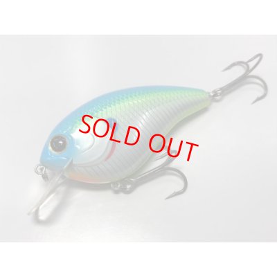 ＃06 シトラスシャッド