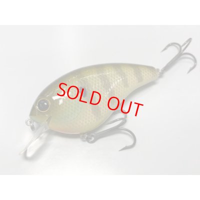 ＃07 ブルーギル