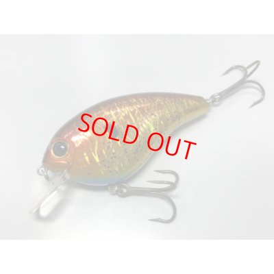 ＃08 シャインブリーム