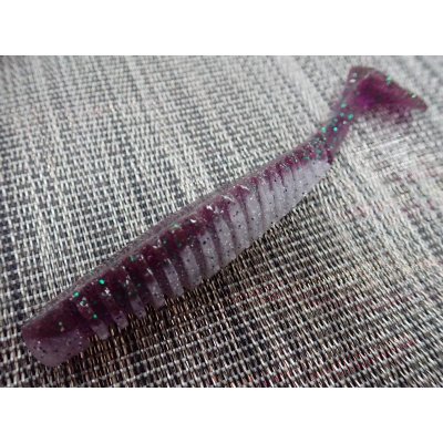 琵琶湖スペシャル