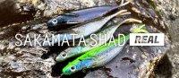 デプス/リサカマタシャッド リアル６インチ