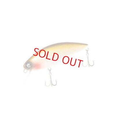 オールレンジシャッド