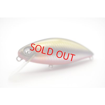 モロコレッドベリー