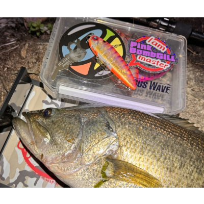 画像8: ps.kizu/ps.kizuオリジナルステッカー