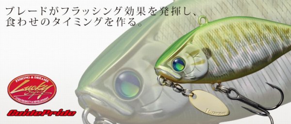 画像1: バレーヒル・ガイドプライド/ＬＶ500ＧＰ (1)