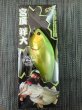 SHOTA GRASS SHAD