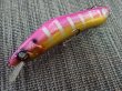 画像2: ミブロ mibro Guppy110 グッピー110 ”Pink Bomb Gill” (2)