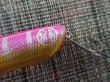 画像5: ミブロ mibro Guppy110 グッピー110 ”Pink Bomb Gill” (5)