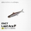 画像1: エバーグリーン・FACT/ラストエース 95F (1)